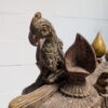 antiek houten indische tempel paard