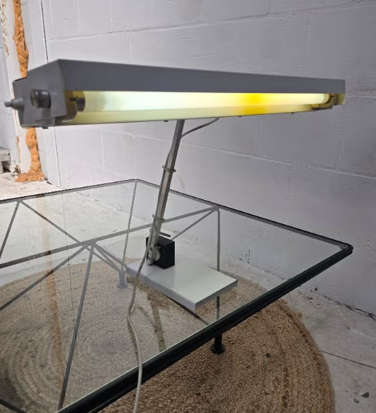 Klaus musinowski model 2020